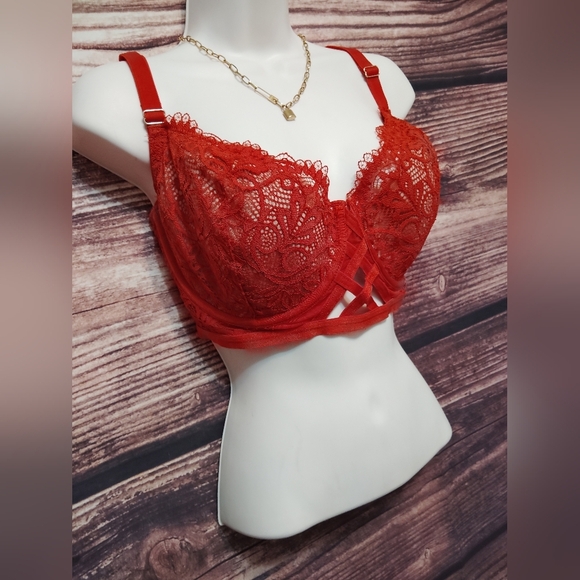 Burnt Orange Adore Me Lace Bra In A Size 40DD In New Condition! - Picture 3 of 5
